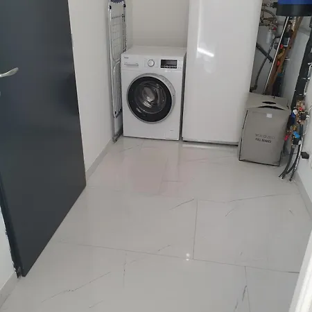 Ideal 24h Le Mans And Horse European Pole *